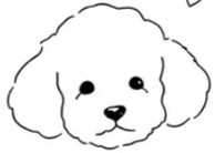 iBau - App e Servizi per Cani